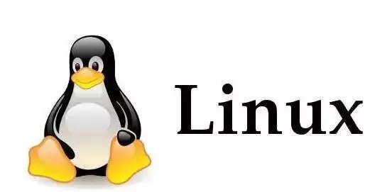 linux定位问题常用命令